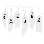 https://velizo.pl/termekkategoria/szepsegapolas-egeszseg/