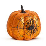 https://velizo.pl/termekkategoria/szepsegapolas-egeszseg/