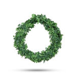 https://velizo.pl/termekkategoria/szepsegapolas-egeszseg/
