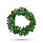 https://velizo.pl/termekkategoria/szepsegapolas-egeszseg/