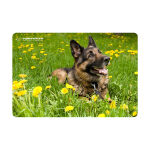 https://velizo.pl/termekkategoria/szepsegapolas-egeszseg/