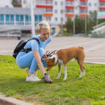 https://velizo.pl/termekkategoria/szepsegapolas-egeszseg/