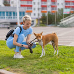 https://velizo.pl/termekkategoria/szepsegapolas-egeszseg/