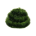 https://velizo.pl/termekkategoria/szepsegapolas-egeszseg/
