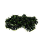 https://velizo.pl/termekkategoria/szepsegapolas-egeszseg/