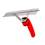 https://velizo.pl/termekkategoria/szepsegapolas-egeszseg/