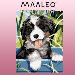 https://velizo.pl/termekkategoria/szepsegapolas-egeszseg/