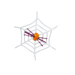 https://velizo.pl/termekkategoria/szepsegapolas-egeszseg/