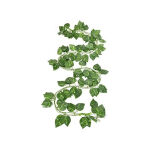 https://velizo.pl/termekkategoria/szepsegapolas-egeszseg/