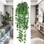 https://velizo.pl/termekkategoria/szepsegapolas-egeszseg/