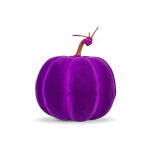 https://velizo.pl/termekkategoria/szepsegapolas-egeszseg/
