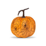 https://velizo.pl/termekkategoria/szepsegapolas-egeszseg/