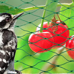 https://velizo.pl/termekkategoria/szepsegapolas-egeszseg/