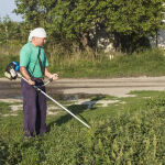 https://velizo.pl/termekkategoria/szepsegapolas-egeszseg/