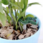 https://velizo.pl/termekkategoria/szepsegapolas-egeszseg/