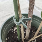 https://velizo.pl/termekkategoria/szepsegapolas-egeszseg/