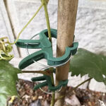 https://velizo.pl/termekkategoria/szepsegapolas-egeszseg/