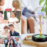 https://velizo.pl/termekkategoria/szepsegapolas-egeszseg/