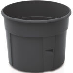 https://velizo.pl/termekkategoria/szepsegapolas-egeszseg/
