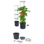https://velizo.pl/termekkategoria/szepsegapolas-egeszseg/