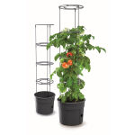 https://velizo.pl/termekkategoria/szepsegapolas-egeszseg/
