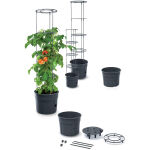 https://velizo.pl/termekkategoria/szepsegapolas-egeszseg/